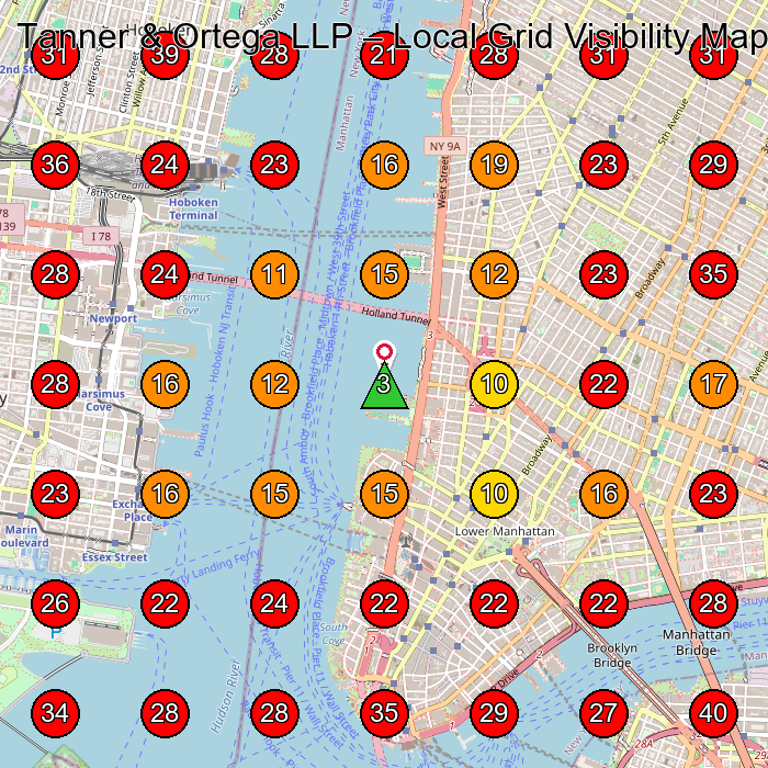Tanner & Ortega LLP GeoGrid visibility map for Criminal Justice Attorney in New York